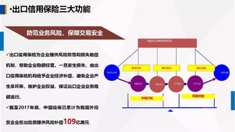 運(yùn)用政策性出口信用保險(xiǎn)，為農(nóng)產(chǎn)品出口保駕護(hù)航——中國出口信用保險(xiǎn)公司客戶服務(wù)部總經(jīng)理?；萆徳谑讓弥袊盘锸秤镁髸?huì)上的演講